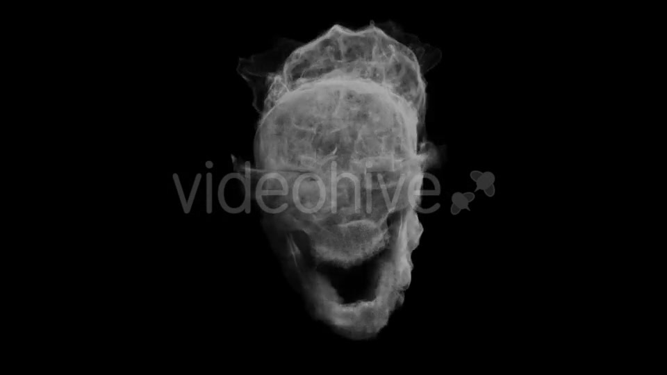 Animation Head Ghost Skull Smoke Videohive 19560192 Motion Graphics Image 4