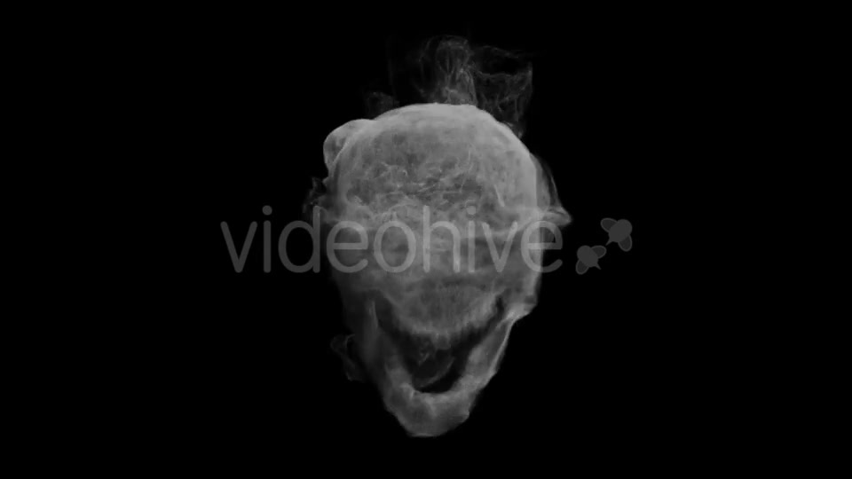 Animation Head Ghost Skull Smoke Videohive 19560192 Motion Graphics Image 5