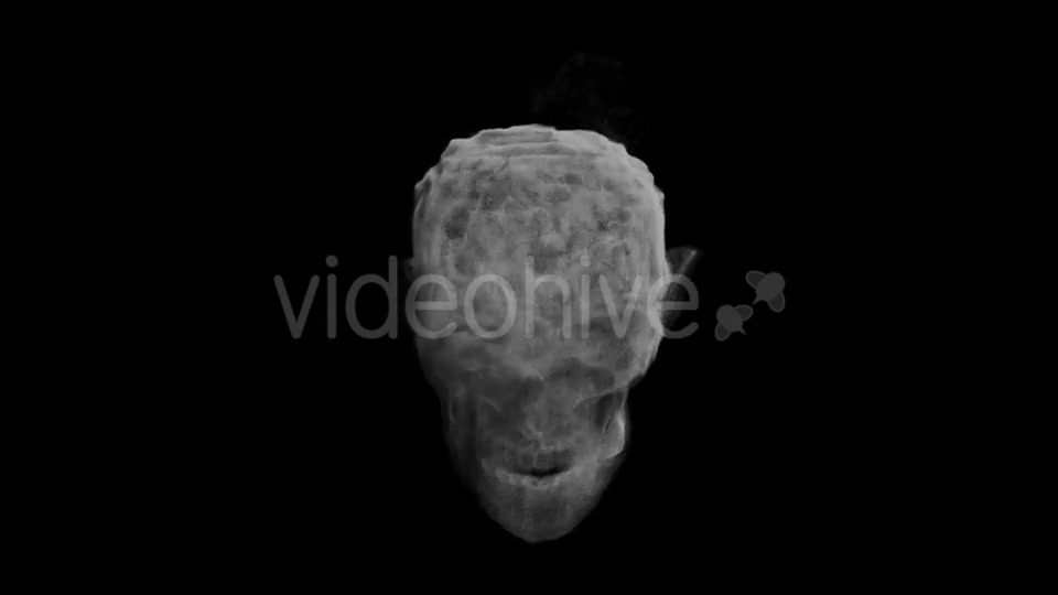 Animation Head Ghost Skull Smoke Videohive 19560192 Motion Graphics Image 6