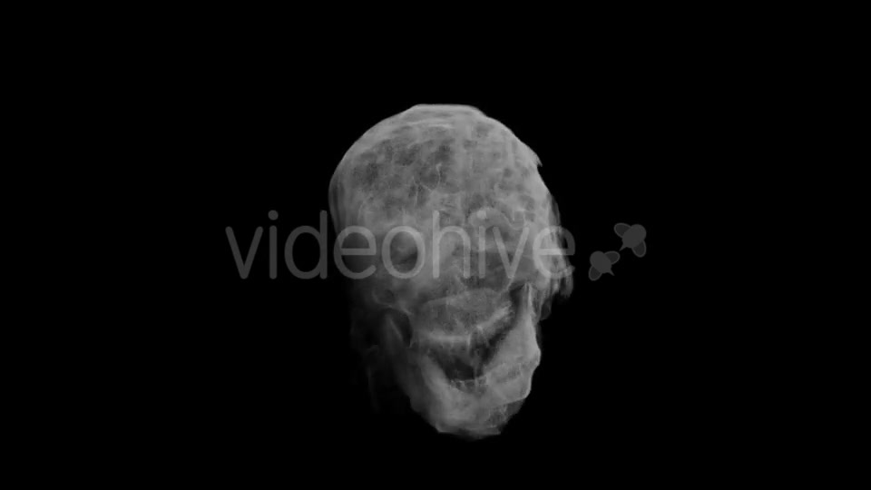 Animation Head Ghost Skull Smoke Videohive 19560192 Motion Graphics Image 8