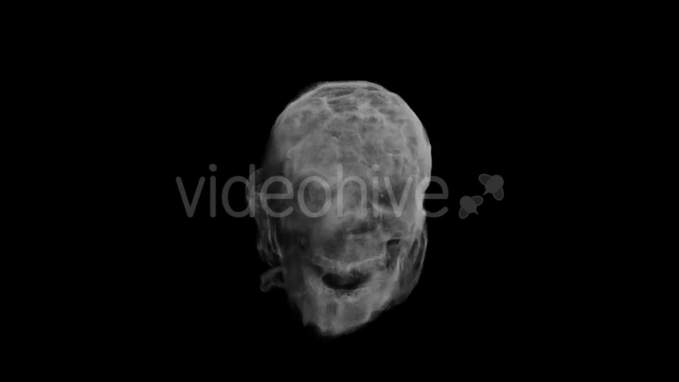 Animation Head Ghost Skull Smoke Videohive 19560192 Motion Graphics Image 9