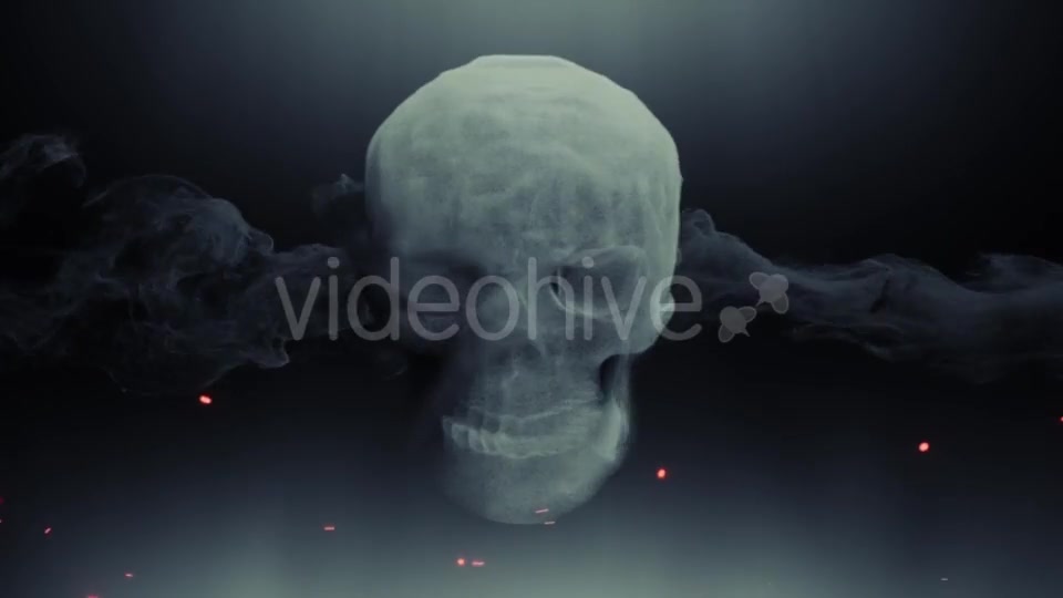 Animation Head Ghost Skull Smoke Videohive 19905645 Motion Graphics Image 3