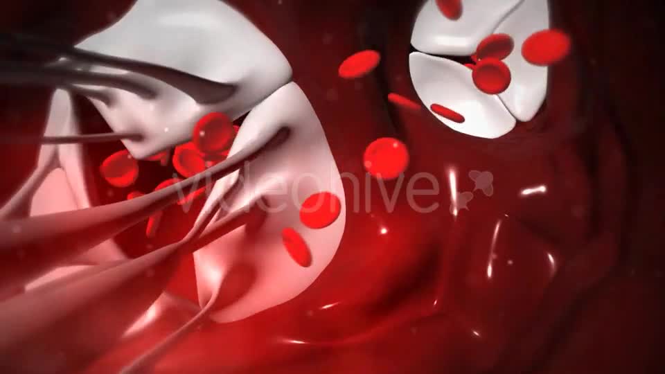 Animation Of Heart Valves Pumping Blood Videohive 20549404 Motion Graphics Image 1