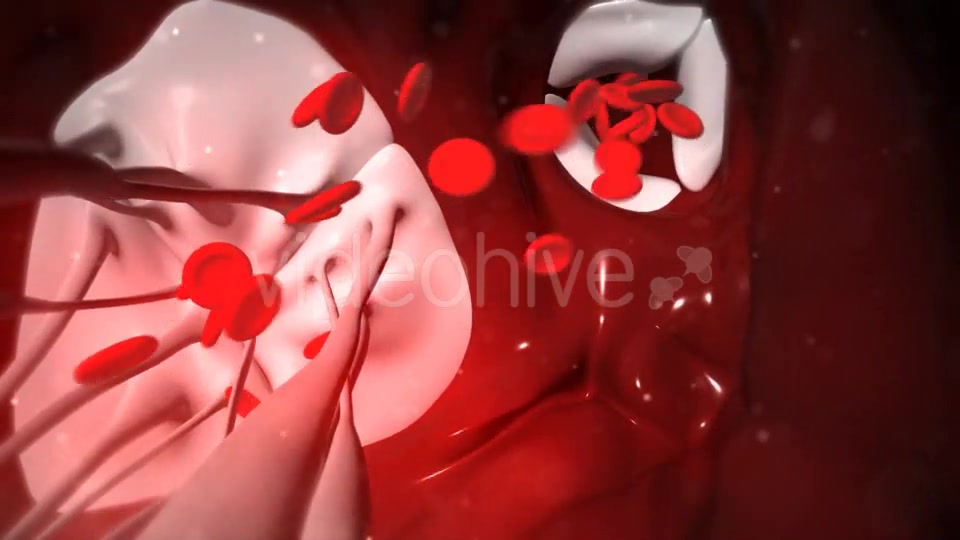 Animation Of Heart Valves Pumping Blood Videohive 20549404 Motion Graphics Image 3