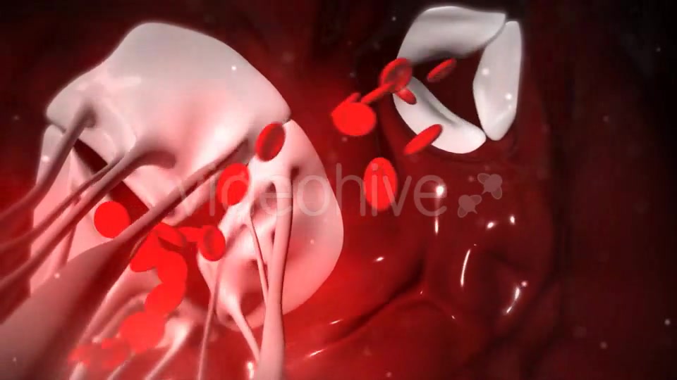 Animation Of Heart Valves Pumping Blood Videohive 20549404 Motion Graphics Image 5