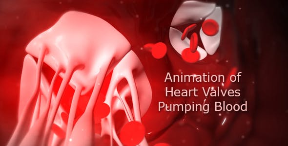 Animation Of Heart Valves Pumping Blood - 20549404 Videohive Download