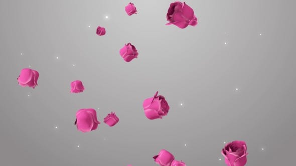Animation of Pink Roses on the Beautiful Background - Download Videohive 19378474