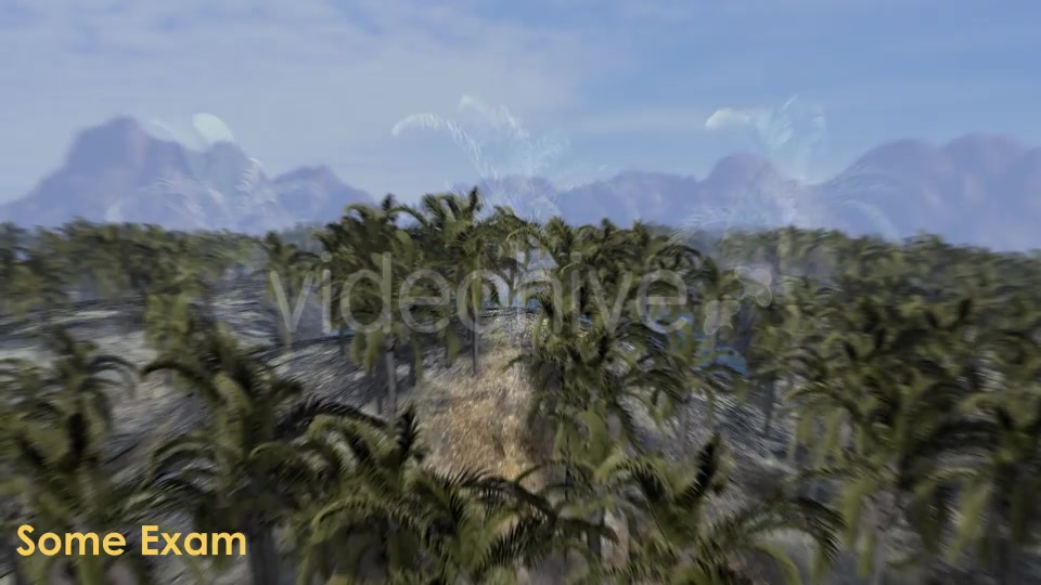 Animation Pack Of Palm Trees Videohive 20497778 Motion Graphics Image 5