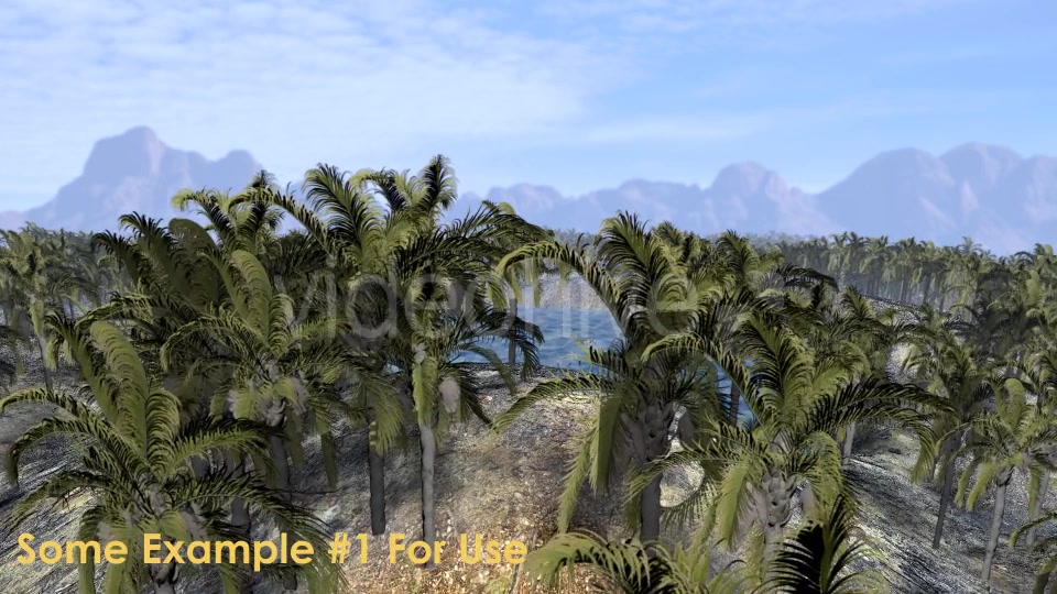 Animation Pack Of Palm Trees Videohive 20497778 Motion Graphics Image 7