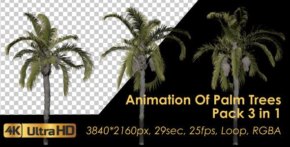 Animation Pack Of Palm Trees - Videohive 20497778 Download
