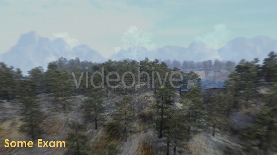 Animation Pack Of Pine Trees Videohive 20497794 Motion Graphics Image 5