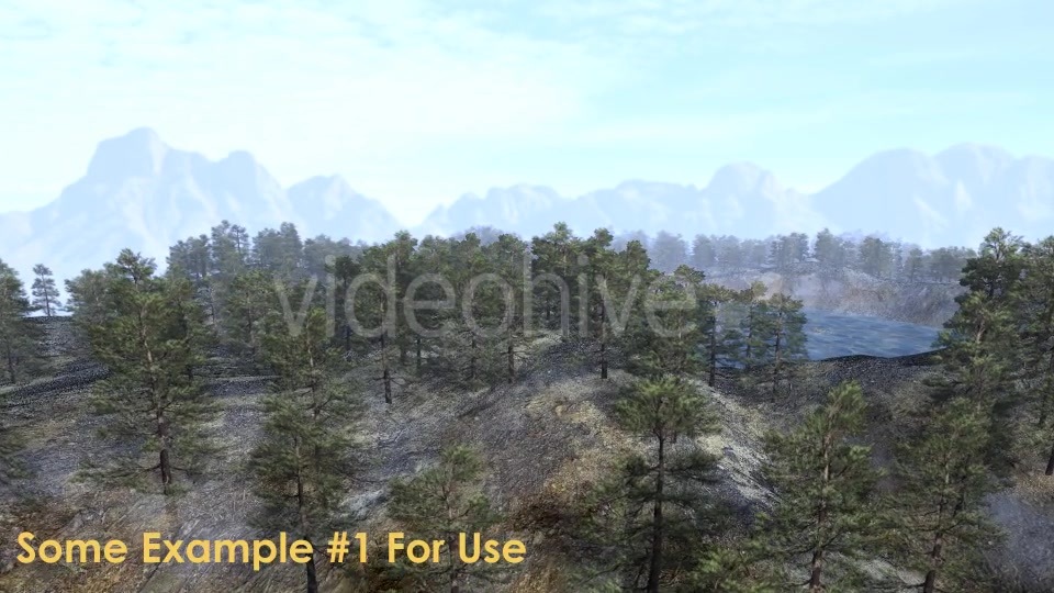 Animation Pack Of Pine Trees Videohive 20497794 Motion Graphics Image 6