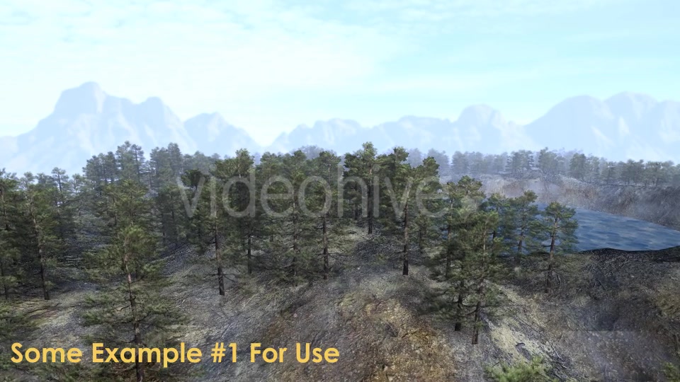 Animation Pack Of Pine Trees Videohive 20497794 Motion Graphics Image 7