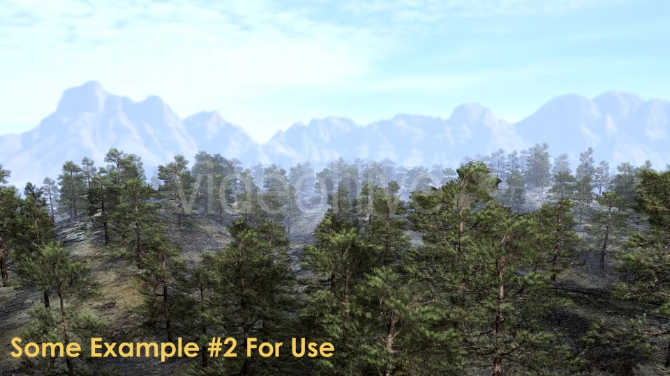 Animation Pack Of Pine Trees Videohive 20497794 Motion Graphics Image 8