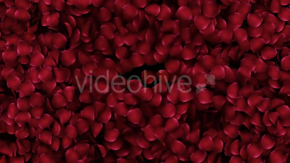 Animation Petals of Roses in a Heart Videohive 19400754 Motion Graphics Image 2