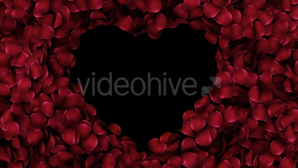 Animation Petals of Roses in a Heart Videohive 19400754 Motion Graphics Image 3