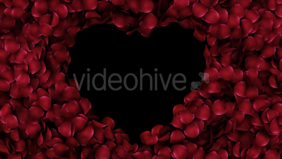 Animation Petals of Roses in a Heart Videohive 19400754 Motion Graphics Image 4