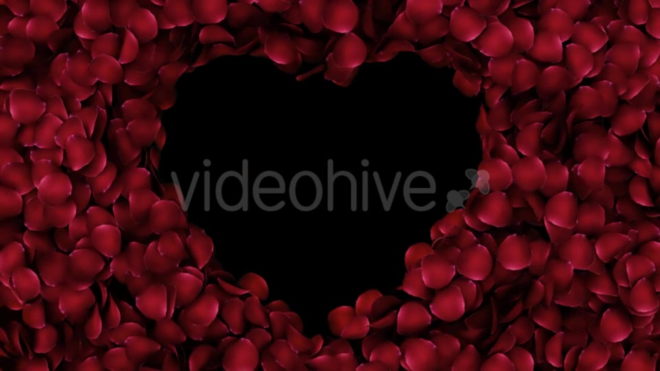 Animation Petals of Roses in a Heart Videohive 19400754 Motion Graphics Image 5