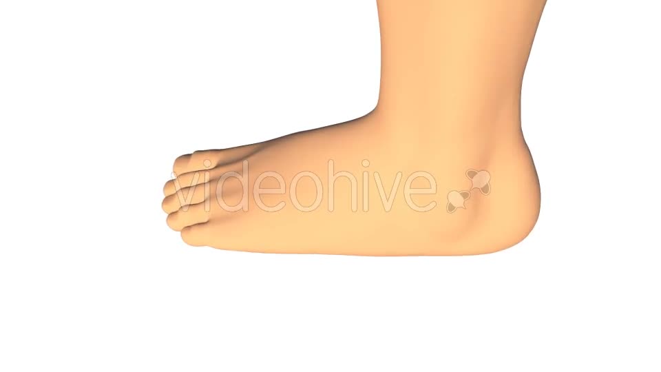 Ankle Sprain Videohive 14349780 Motion Graphics Image 1
