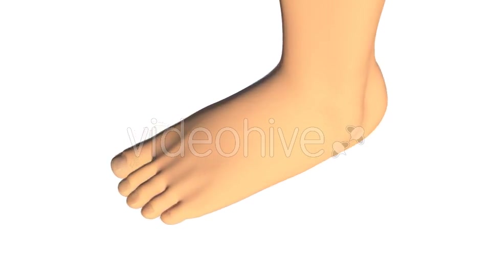 Ankle Sprain Videohive 14349780 Motion Graphics Image 2