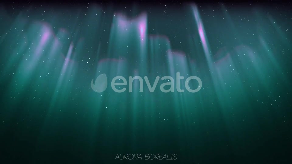 Aurora Borealis And Tree Oak (2 in1) Videohive 24461029 Motion Graphics Image 10
