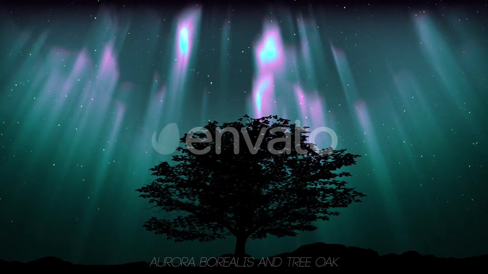 Aurora Borealis And Tree Oak (2 in1) Videohive 24461029 Motion Graphics Image 4