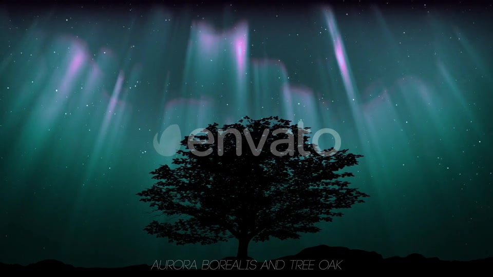 Aurora Borealis And Tree Oak (2 in1) Videohive 24461029 Motion Graphics Image 5