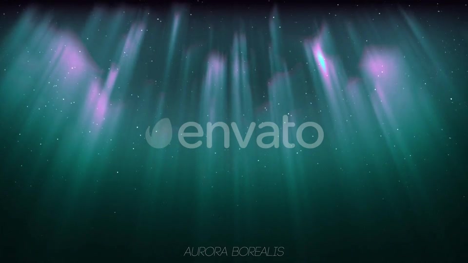 Aurora Borealis And Tree Oak (2 in1) Videohive 24461029 Motion Graphics Image 6