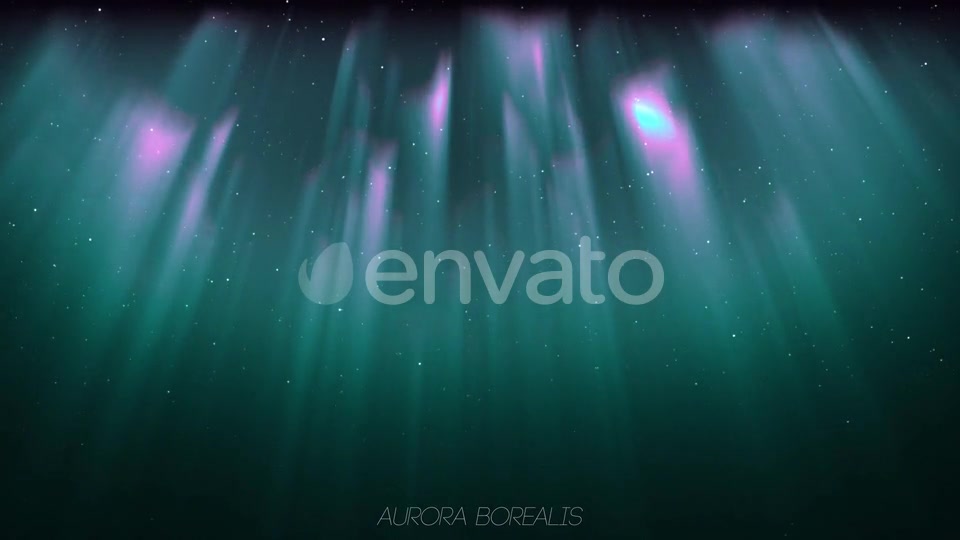 Aurora Borealis And Tree Oak (2 in1) Videohive 24461029 Motion Graphics Image 7