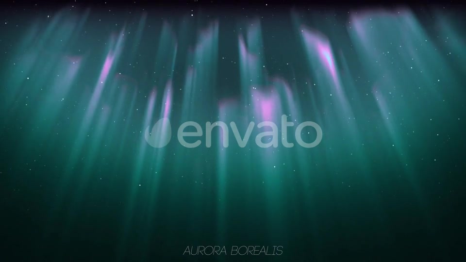 Aurora Borealis And Tree Oak (2 in1) Videohive 24461029 Motion Graphics Image 8