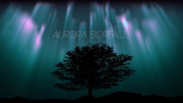 Aurora Borealis And Tree Oak (2 in1) - Videohive 24461029 Download