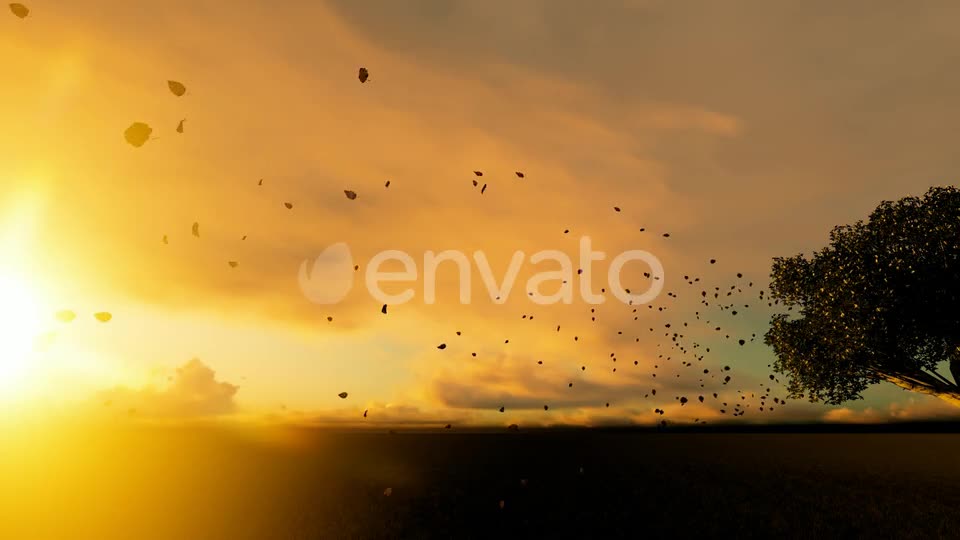 Autumn And Spilled Leaves Videohive 22608183 Motion Graphics Image 1