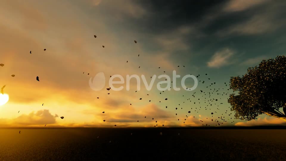 Autumn And Spilled Leaves Videohive 22608183 Motion Graphics Image 10