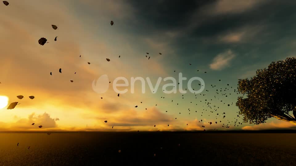 Autumn And Spilled Leaves Videohive 22608183 Motion Graphics Image 11