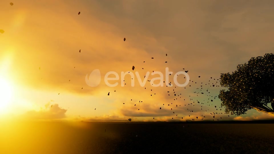 Autumn And Spilled Leaves Videohive 22608183 Motion Graphics Image 2