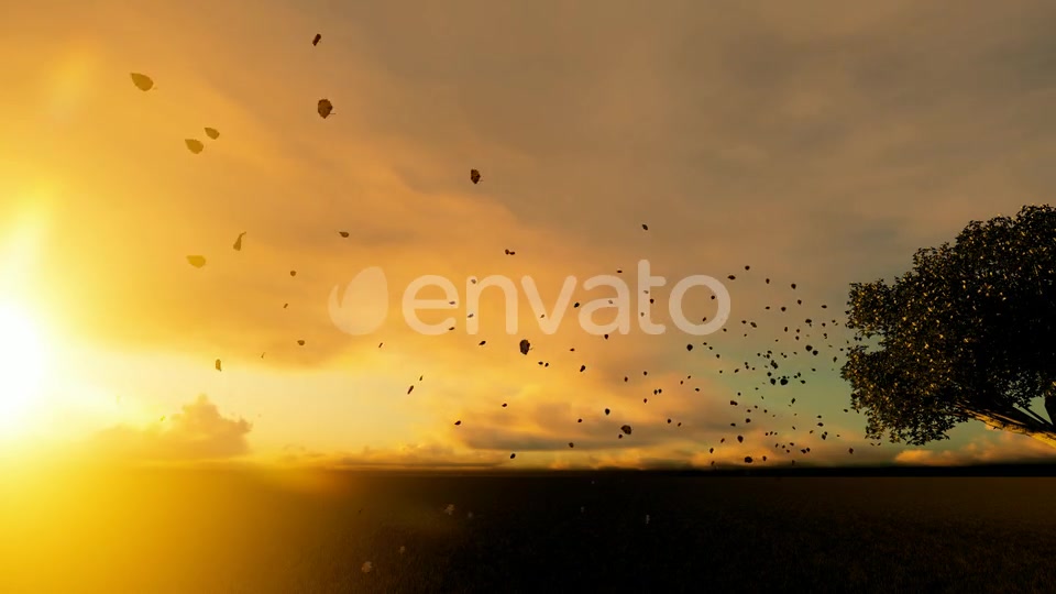 Autumn And Spilled Leaves Videohive 22608183 Motion Graphics Image 3