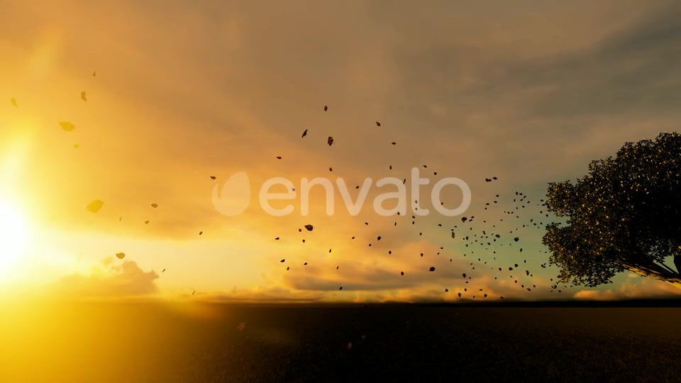 Autumn And Spilled Leaves Videohive 22608183 Motion Graphics Image 4
