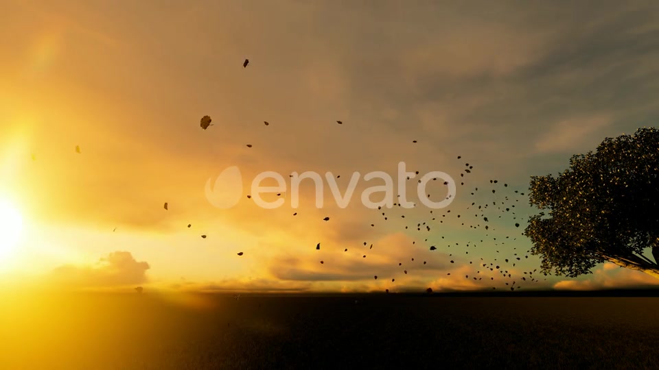 Autumn And Spilled Leaves Videohive 22608183 Motion Graphics Image 5