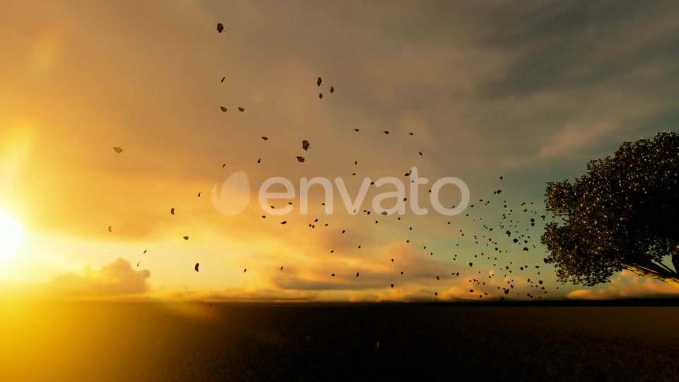 Autumn And Spilled Leaves Videohive 22608183 Motion Graphics Image 6