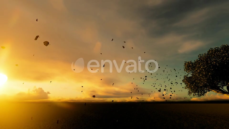 Autumn And Spilled Leaves Videohive 22608183 Motion Graphics Image 7