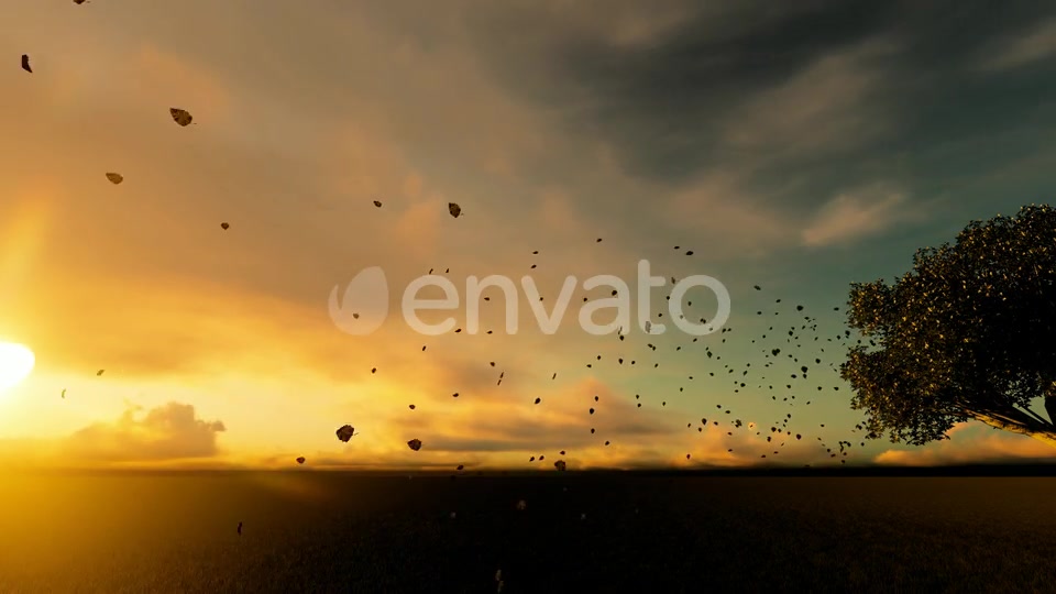 Autumn And Spilled Leaves Videohive 22608183 Motion Graphics Image 8