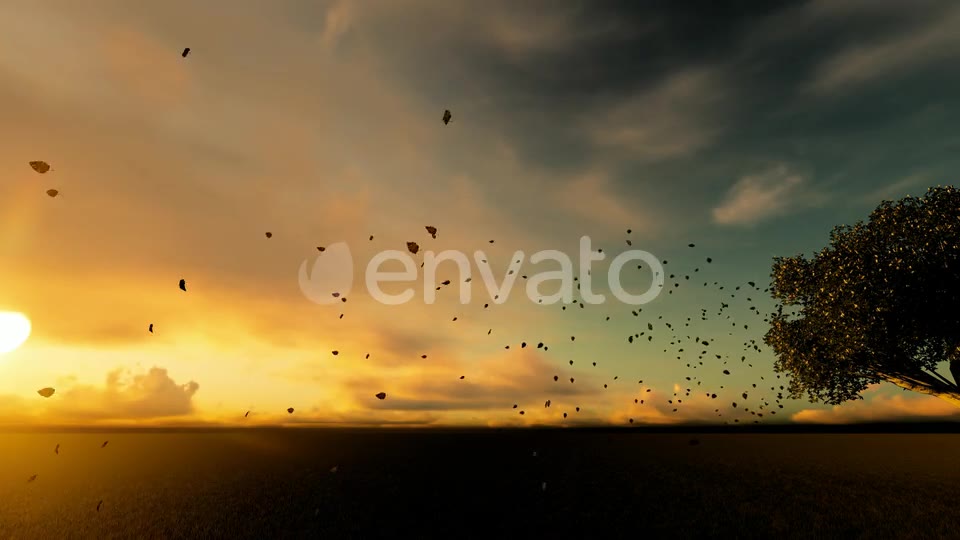 Autumn And Spilled Leaves Videohive 22608183 Motion Graphics Image 9
