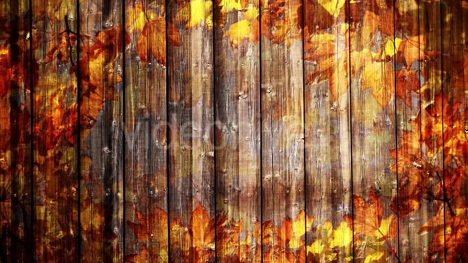 Autumn Background Loop Videohive 18332672 Motion Graphics Image 1