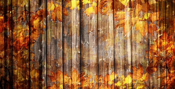 Autumn Background Loop - Videohive Download 18332672
