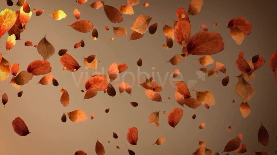 Autumn Leaves Background Pack (4 in 1) Videohive 8942805 Motion Graphics Image 1