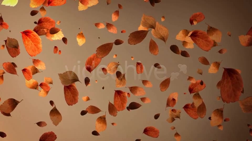 Autumn Leaves Background Pack (4 in 1) Videohive 8942805 Motion Graphics Image 2