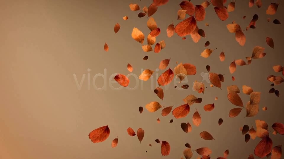 Autumn Leaves Background Pack (4 in 1) Videohive 8942805 Motion Graphics Image 6