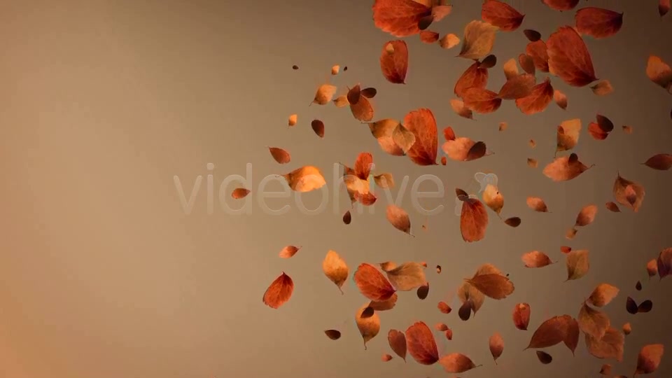 Autumn Leaves Background Pack (4 in 1) Videohive 8942805 Motion Graphics Image 7