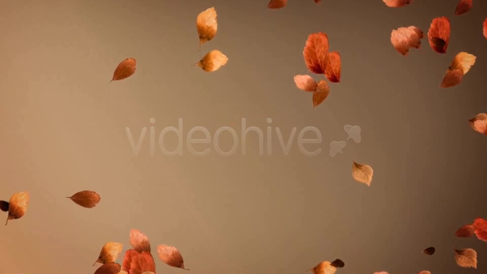 Autumn Leaves Background Pack (4 in 1) Videohive 8942805 Motion Graphics Image 9