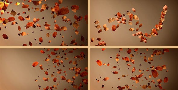 Autumn Leaves Background Pack (4 in 1) - Videohive Download 8942805